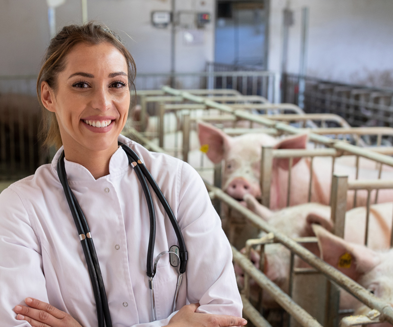 Mercado Veterinario