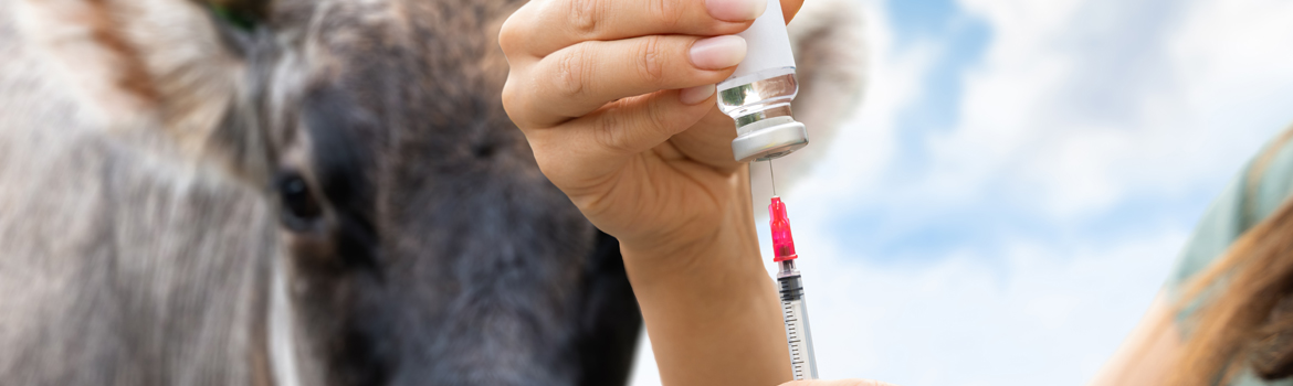 Veterinario